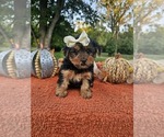 Image preview for Ad Listing. Nickname: Sasha