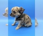 Image preview for Ad Listing. Nickname: Comet