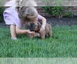 Small #5 Boxer