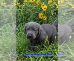 Image preview for Ad Listing. Nickname: Blue