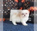 Image preview for Ad Listing. Nickname: Lainey