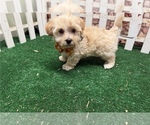 Image preview for Ad Listing. Nickname: Lily
