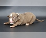 Image preview for Ad Listing. Nickname: Set