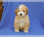 Image preview for Ad Listing. Nickname: Ivo