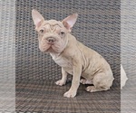 Image preview for Ad Listing. Nickname: Jaxson