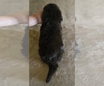  - Photo #6