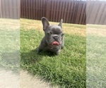 Image preview for Ad Listing. Nickname: Stormy
