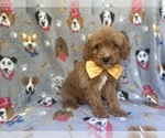 Image preview for Ad Listing. Nickname: Kade