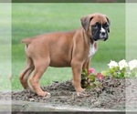Image preview for Ad Listing. Nickname: Mia