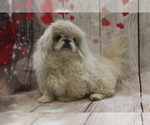 Image preview for Ad Listing. Nickname: Zeus