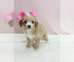 Image preview for Ad Listing. Nickname: layla