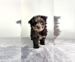 Image preview for Ad Listing. Nickname: Charlie