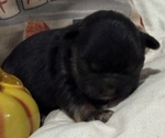 Image preview for Ad Listing. Nickname: Simon