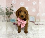 Image preview for Ad Listing. Nickname: Lexi