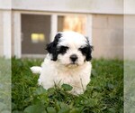 Image preview for Ad Listing. Nickname: Veronica