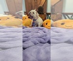 Image preview for Ad Listing. Nickname: Aspen