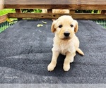 Image preview for Ad Listing. Nickname: Girl 3