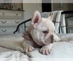 Image preview for Ad Listing. Nickname: POLAR