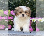 Image preview for Ad Listing. Nickname: Steve