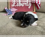 Image preview for Ad Listing. Nickname: Betsy