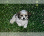 Image preview for Ad Listing. Nickname: Darcy