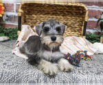 Image preview for Ad Listing. Nickname: Denise