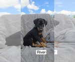 Image preview for Ad Listing. Nickname: River