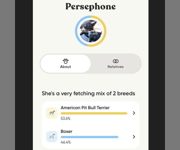 Medium Photo #6 Mutt Puppy For Sale in Fargo, ND, USA