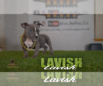 Image preview for Ad Listing. Nickname: Lavish ABKC