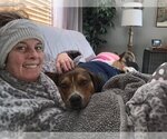 Small #20 American Pit Bull Terrier Mix