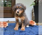 Image preview for Ad Listing. Nickname: Kenzie