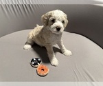  - Photo #2