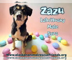 Small #3 Labsky