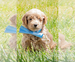 Image preview for Ad Listing. Nickname: O Henry