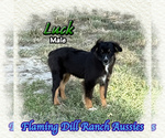 Image preview for Ad Listing. Nickname: Luck