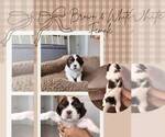 Image preview for Ad Listing. Nickname: Zuki