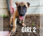 Image preview for Ad Listing. Nickname: Girl 2