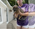 Image preview for Ad Listing. Nickname: Jamie Lee