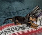 Image preview for Ad Listing. Nickname: Calypso