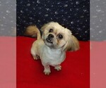 Image preview for Ad Listing. Nickname: Theo