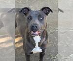 Small #2 Breeder Profile image