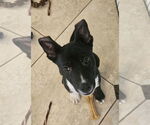 Small #1 Breeder Profile image