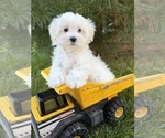 Image preview for Ad Listing. Nickname: Fritz