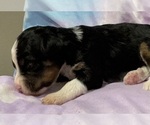 Image preview for Ad Listing. Nickname: Cool