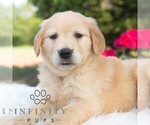 Image preview for Ad Listing. Nickname: Bonnie