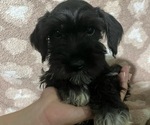 Image preview for Ad Listing. Nickname: blakie