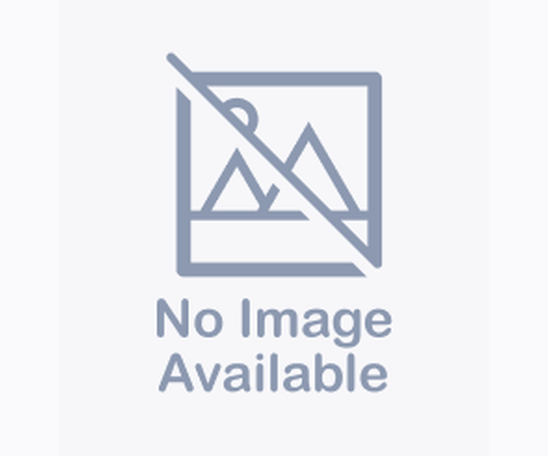 Medium Photo #1 Labrador Retriever-Unknown Mix Puppy For Sale in Palmer, AK, USA