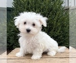 Image preview for Ad Listing. Nickname: Eddie