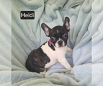 Image preview for Ad Listing. Nickname: Heidi
