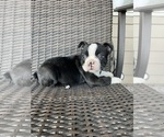 Image preview for Ad Listing. Nickname: Girl 1